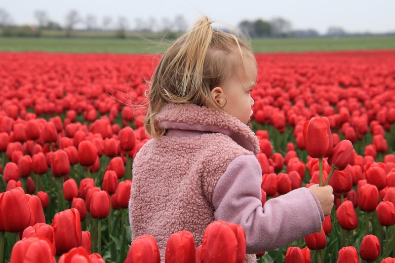 Netherlands Location